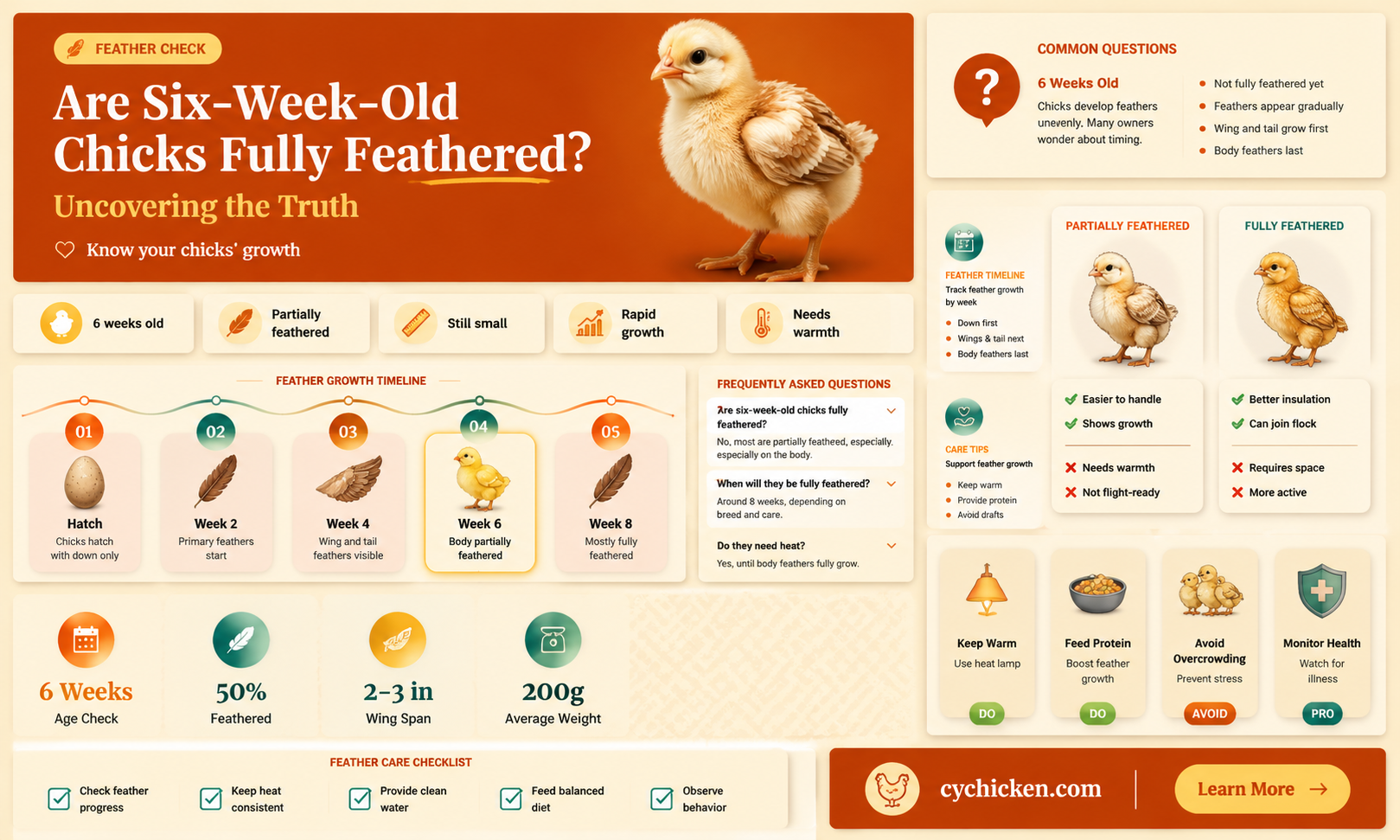 are 6 week old chicks fully feathered