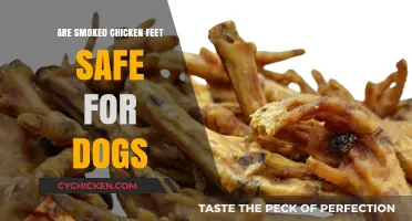 Smoked Chicken Feet for Dogs: Safe Treat or Health Risk?