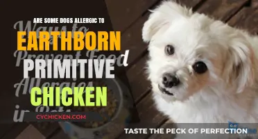 Can Earthborn Primitive Chicken Cause Allergies in Certain Dogs?
