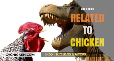 T. Rex and Chickens: Uncovering the Surprising Dinosaur-Bird Connection
