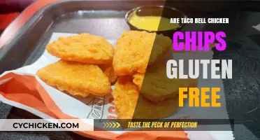 Are Taco Bell Chicken Chips Gluten-Free? A Complete Guide