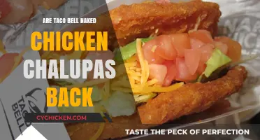 Taco Bell Naked Chicken Chalupas Return: What You Need to Know