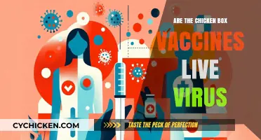 Are Chickenpox Vaccines Live Virus? Facts and Safety Explained