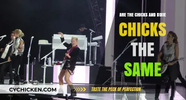 Chicks vs. Dixie Chicks: Unraveling the Band Name Confusion
