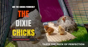 The Chicks' Evolution: From Dixie to a New Identity