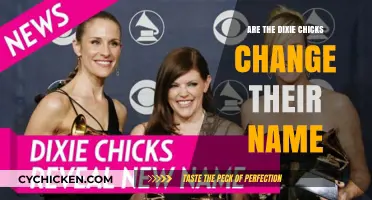 Why the Dixie Chicks Changed Their Name: The Story Behind the Switch