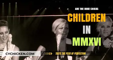 Are the Dixie Chicks' Children Grown Up in 2016?