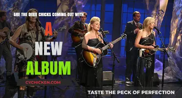 Dixie Chicks: New Album Release and What to Expect