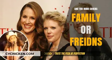 Are the Dixie Chicks Family, Friends, or Something More?