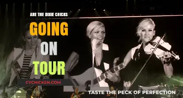 Are the Dixie Chicks Planning a New Tour Soon?