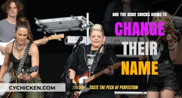 Dixie Chicks: Name Change or Keep the Status Quo?