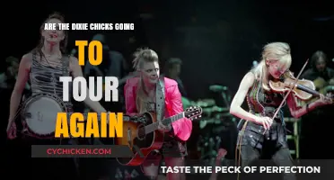 Will the Dixie Chicks Reunite for a New Tour Soon?