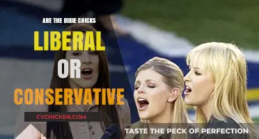 Dixie Chicks' Political Leanings: Liberal or Conservative?
