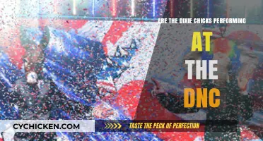 Are the Dixie Chicks Headlining the DNC This Year?