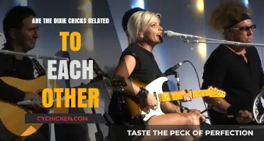Are the Dixie Chicks Related? Unraveling the Band's Family Ties