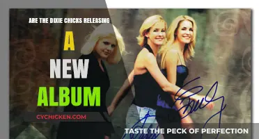 Dixie Chicks' New Album: Rumors, Release Date, and What to Expect
