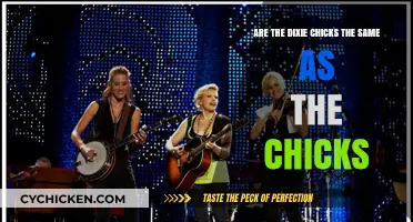 Dixie Chicks vs The Chicks: What's in a Name?