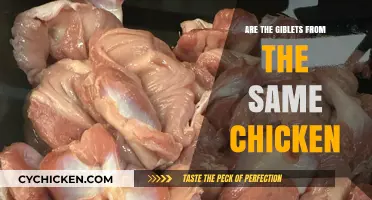 Are Giblets from the Same Chicken? Unraveling Poultry Packaging Mysteries