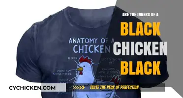 Are Black Chicken Inners Black? Unveiling the Truth Behind the Myth