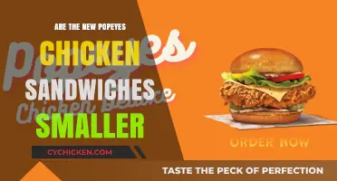 Are Popeyes Chicken Sandwiches Shrinking? Size Concerns Explained