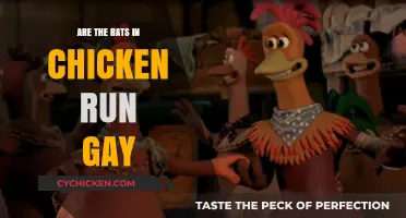 Unraveling the Mystery: Are Chicken Run's Rats Gay?