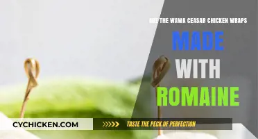 Wawa's Chicken Wrap: Romaine or Iceberg?