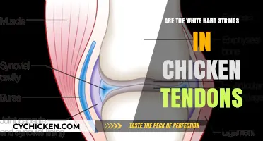 What Are Those White Strings in Chicken? Tendons Explained