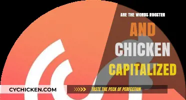 Rooster vs. Chicken: Capitalization Rules for Poultry Terms Explained