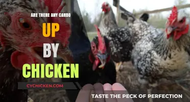 Can Chicken Help You Carb Up? Exploring Protein and Carb Connections