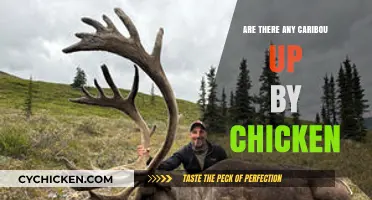 Exploring Chicken, Alaska: Are Caribou Roaming Near This Unique Town?