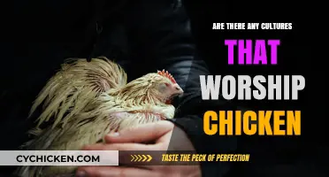 Clucking Sacred: Exploring Cultures That Worship Chickens and Poultry