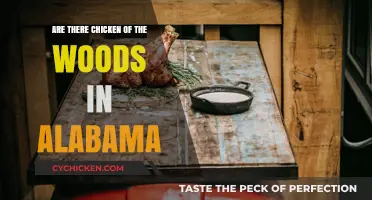 Exploring Alabama's Forests: Are Chicken of the Woods Mushrooms Found Here?