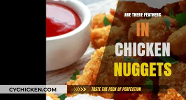 Are There Feathers in Chicken Nuggets? Unraveling the Mystery