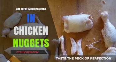 Microplastics in Chicken Nuggets: Uncovering the Hidden Truth in Fast Food