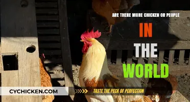 Chicken vs Humans: Who Rules the Roost?