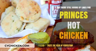 The Long Wait for Princes' Hot Chicken: Worth It?