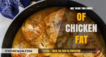 Understanding Chicken Fat: Exploring the Differences in Poultry Fats