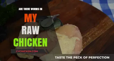 Worms in Raw Chicken: Fact or Fiction? What You Need to Know