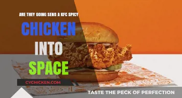 Spicy Space Mission: KFC Chicken's Cosmic Adventure