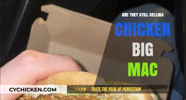 Is the Chicken Big Mac Still on the Menu?