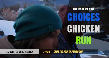 Beyond Chicken Run: Exploring the Hidden Choices in Life's Dilemmas