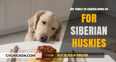 Turkey and Chicken Bones: Safe for Siberian Huskies?