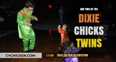Are Two Dixie Chicks Twins? Unraveling the Sisterly Bond
