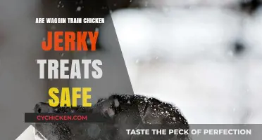 Are Waggin Train Chicken Jerky Treats Safe for Your Dog?