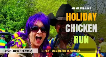 Are We Going on a Holiday Chicken Run Adventure?