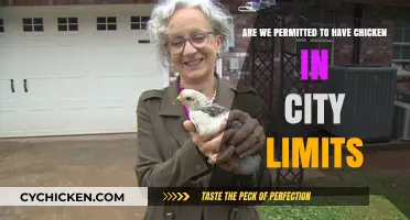 Urban Poultry: Legality and Limits
