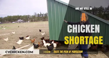 Is the Chicken Shortage Still Clucking Up Our Lives?