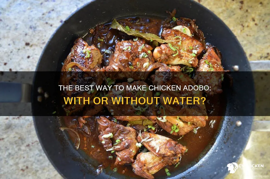 are we supposed to add water to chicken adobo