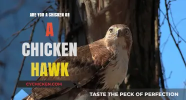 Chicken or Chicken Hawk: Uncovering Your True Nature in Life's Choices