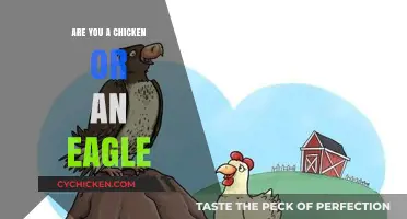 Chicken or Eagle: Which Mindset Will Elevate Your Success?